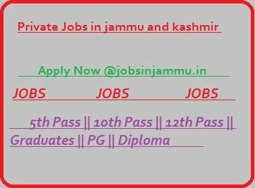 Daily Part-Time/ Full time Private Job News in J&K, India @Daily Excelsior, PRIVATE JOBS JAMMU KASHMIR, Private company jobs, private recruitment , Daily Excelsior, 10th private jobs, 12th private jobs, graduates private jobs 
