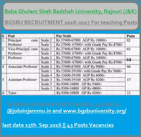Baba Ghulam Shah Badshah University Teaching Salary per month, bgsb teaching pay scale, bgsbu income, university teachers monthly salary